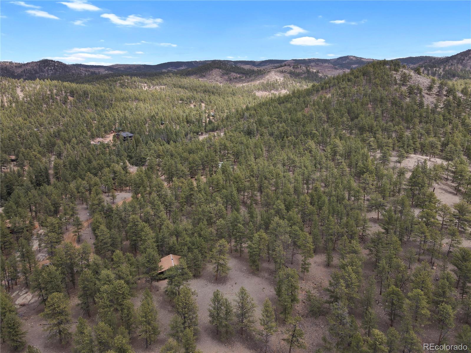 88 South Crystal Road Lake George, CO 80827 - Photo 4 of 17 Gallery Image 4