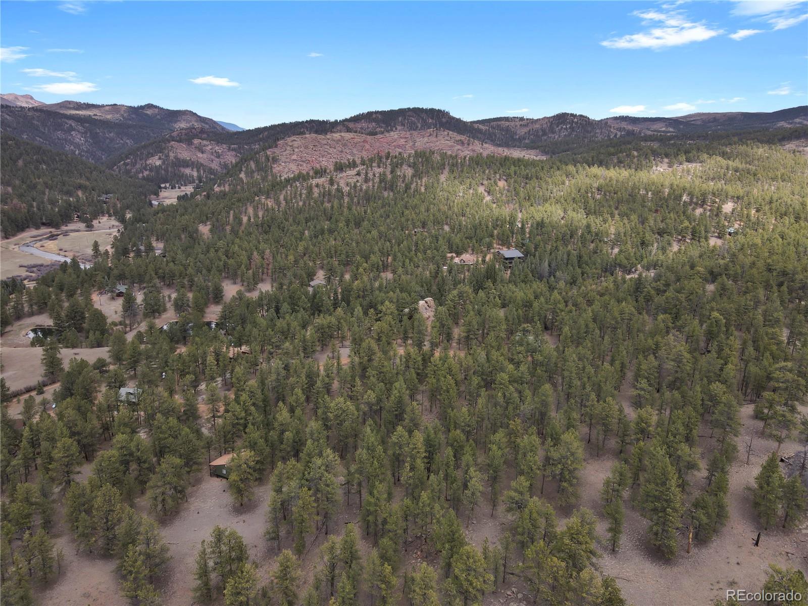 88 South Crystal Road Lake George, CO 80827 - Photo 5 of 17 Gallery Image 5
