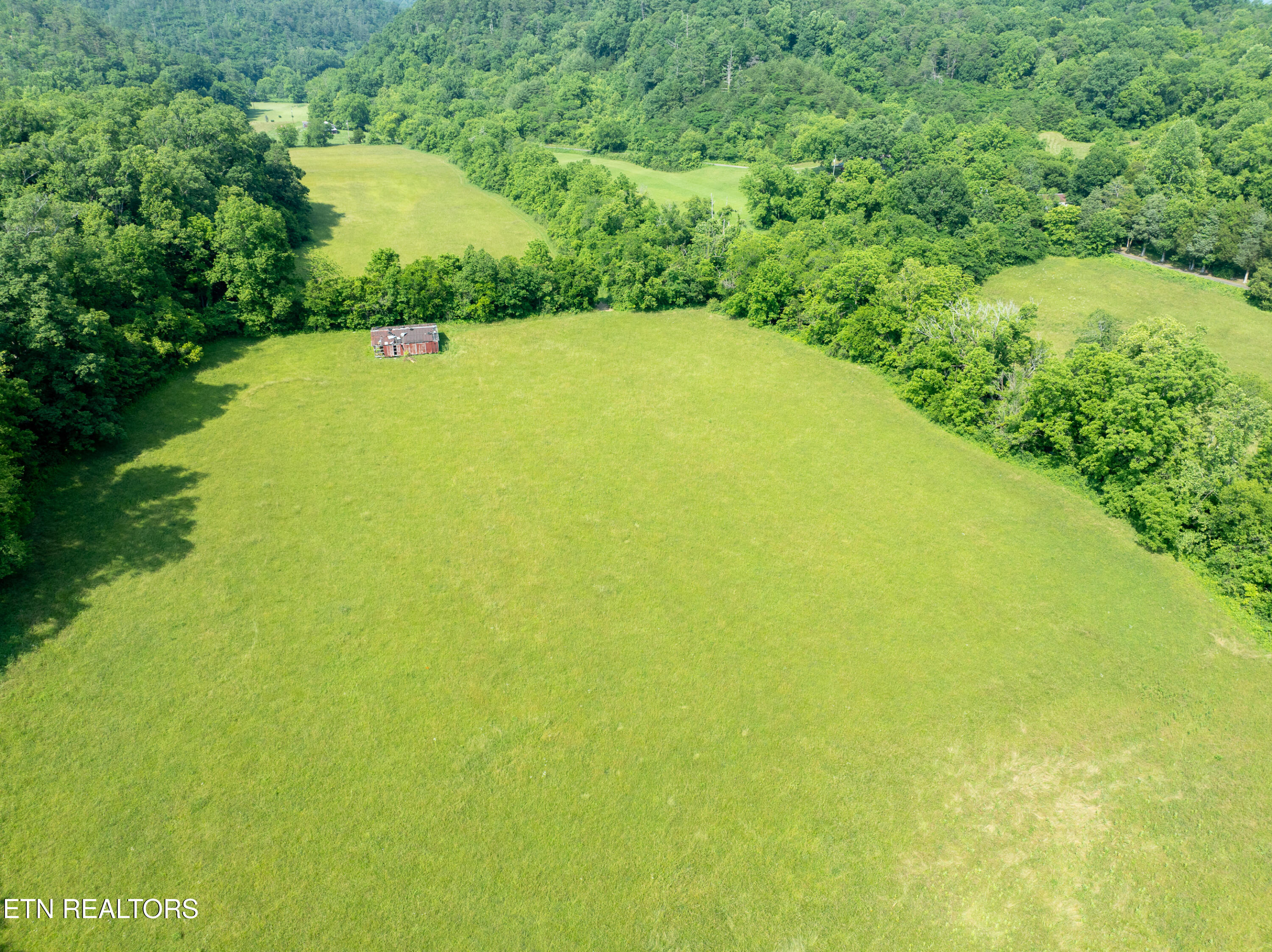 Rudd Road Townsend, TN 37882 - Photo 6 of 9 DJI_0012
