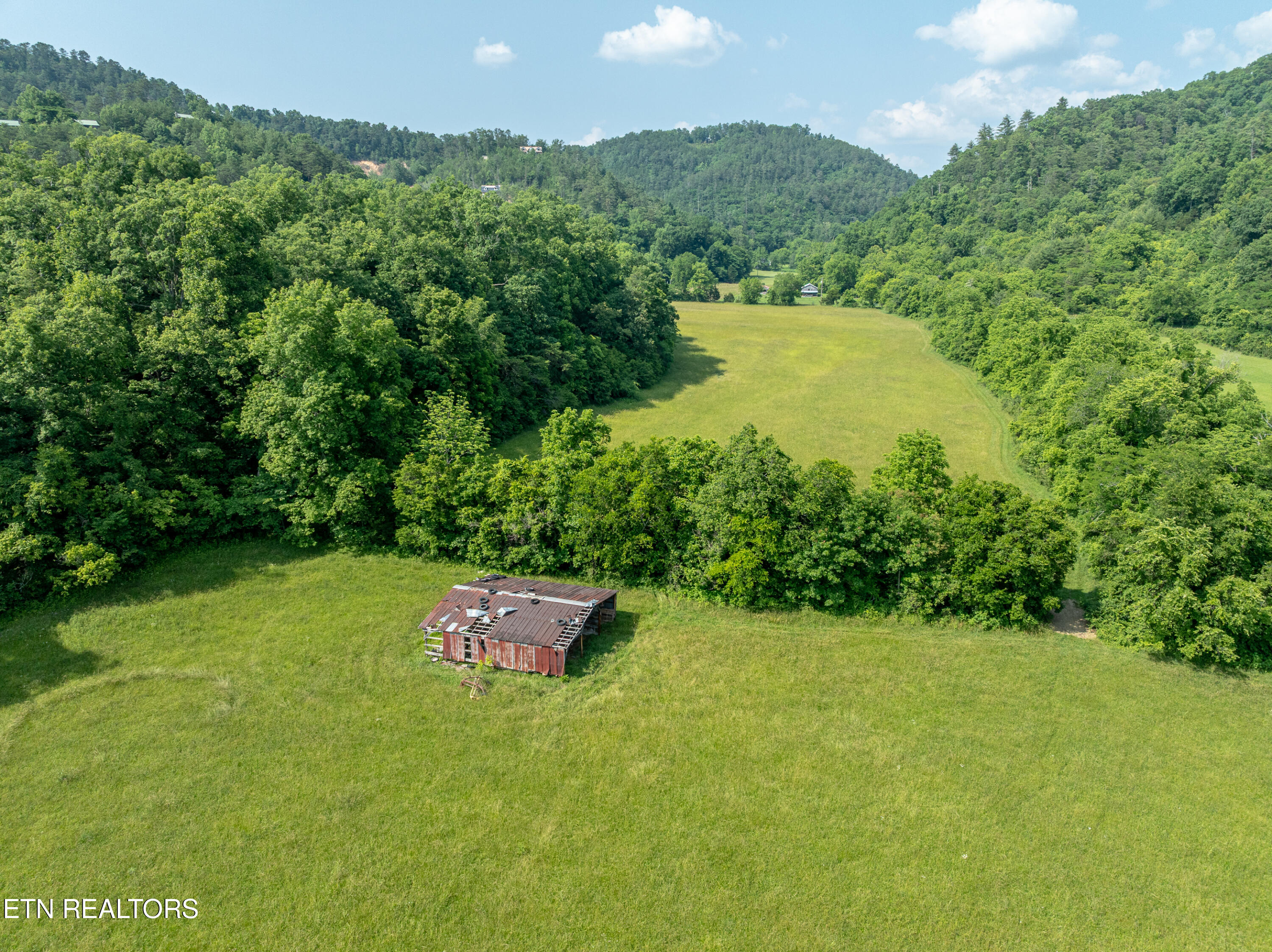 Rudd Road Townsend, TN 37882 - Photo 7 of 9 DJI_0013