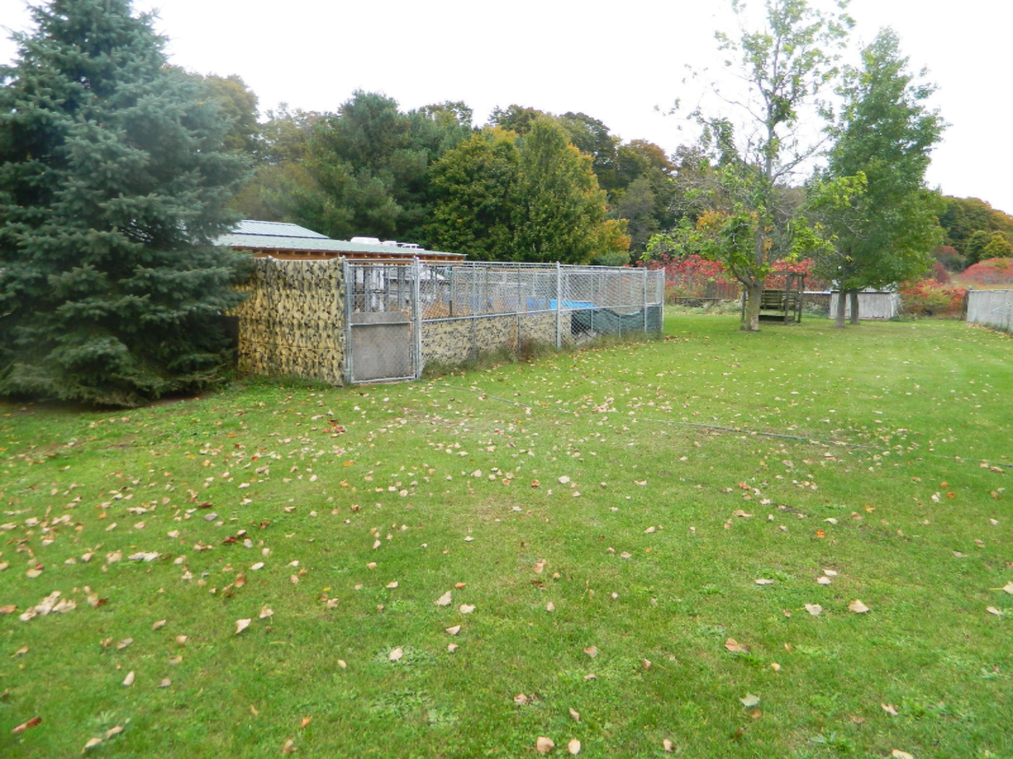 10476 Williams Road Montague, MI 49437 - Photo 14 of 24 DSCN8165