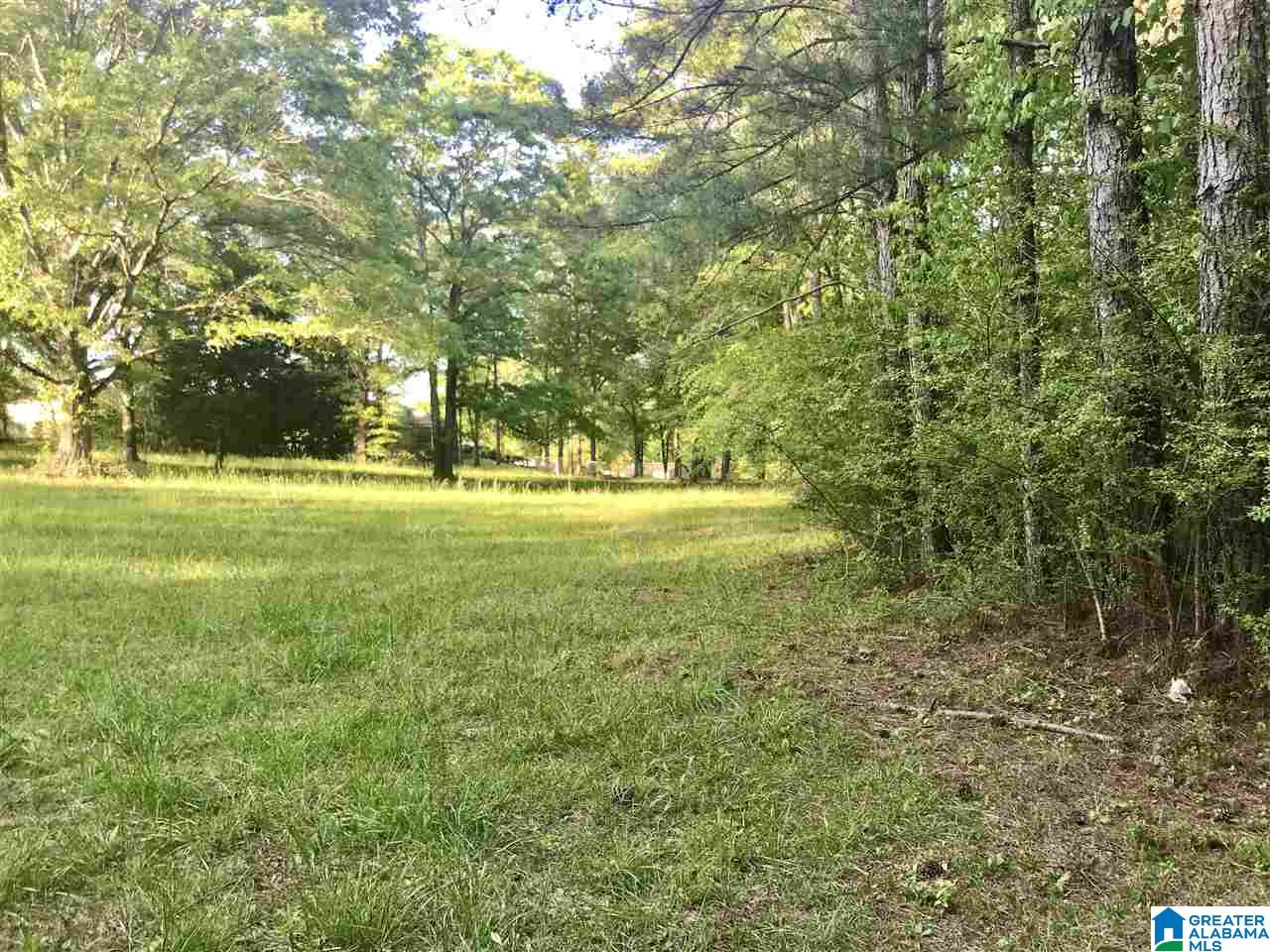 2607 Highway 20 Calera, AL 35040 - Photo 6 of 28