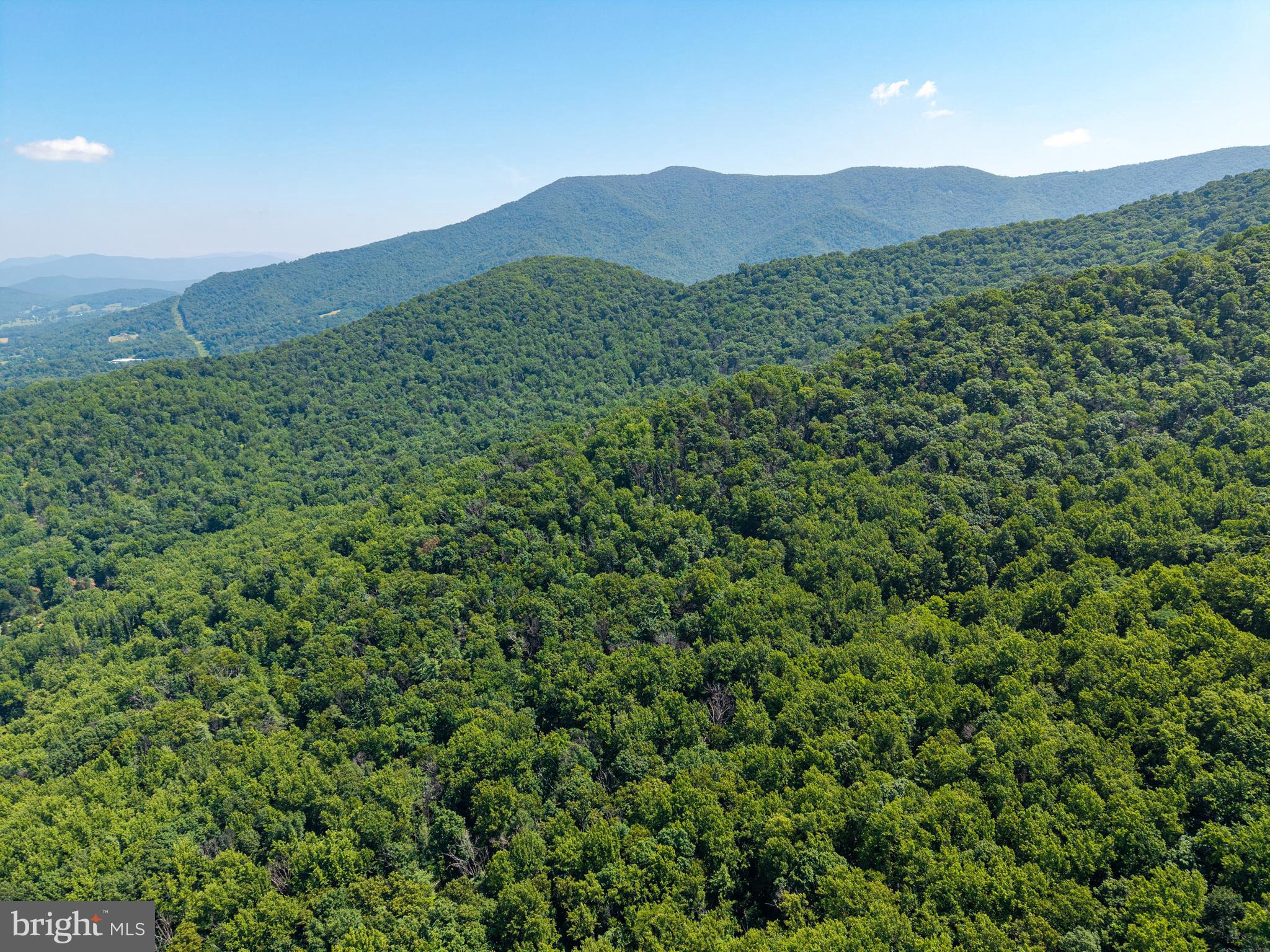 0 Helms Road Stanley, VA 22851 - Photo 46 of 50