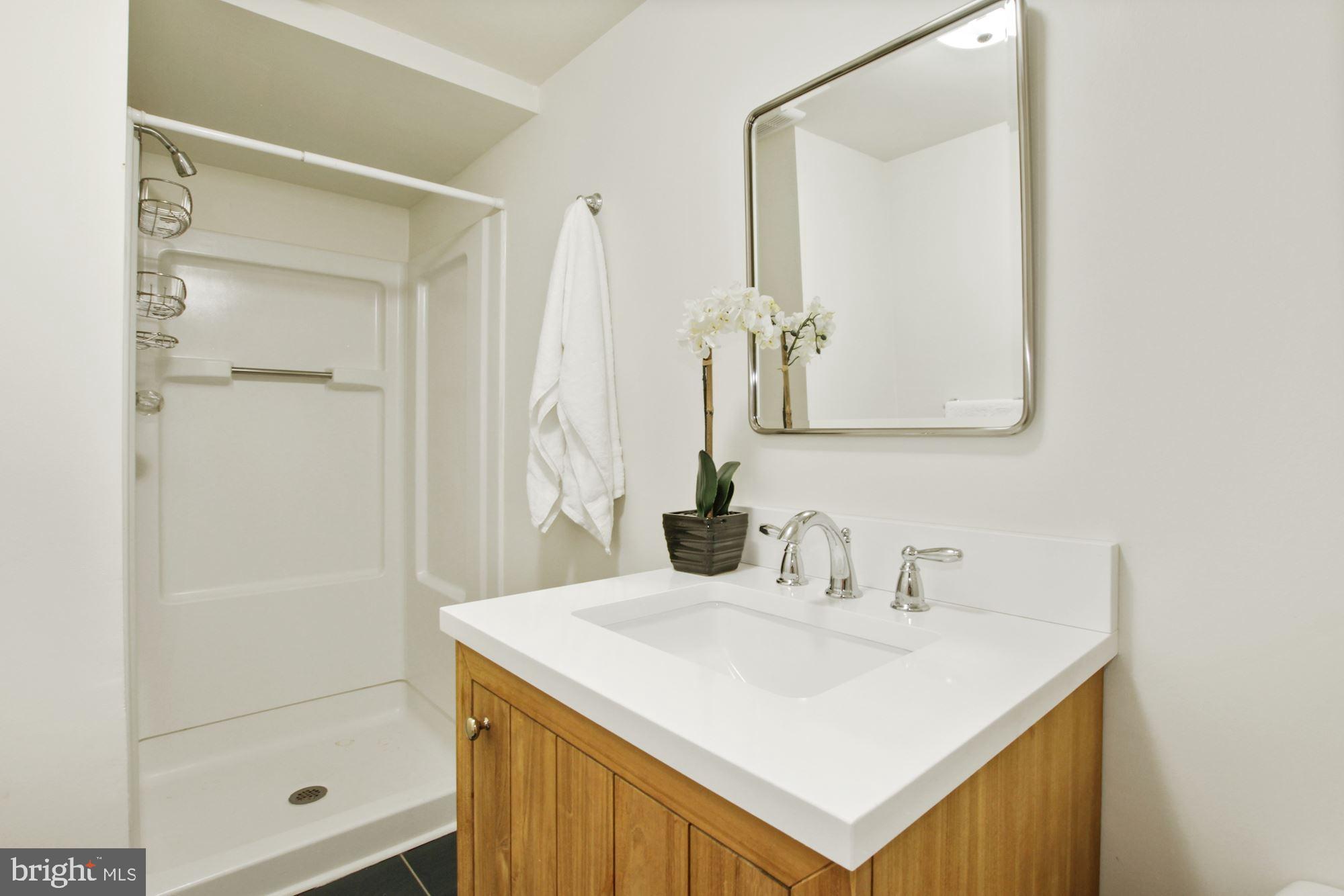 3906 Aspen Street Chevy Chase, MD 20815 - Photo 37 of 43 Lower level full bath
