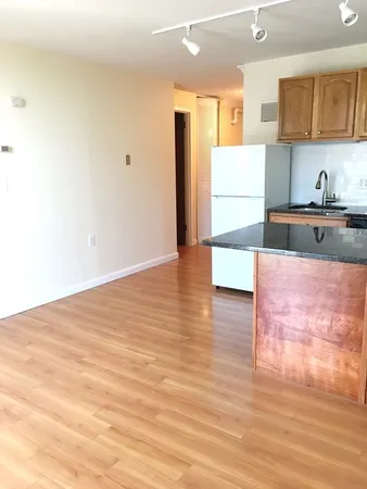 a view of kitchen with stainless steel appliances cabinets and wooden floor