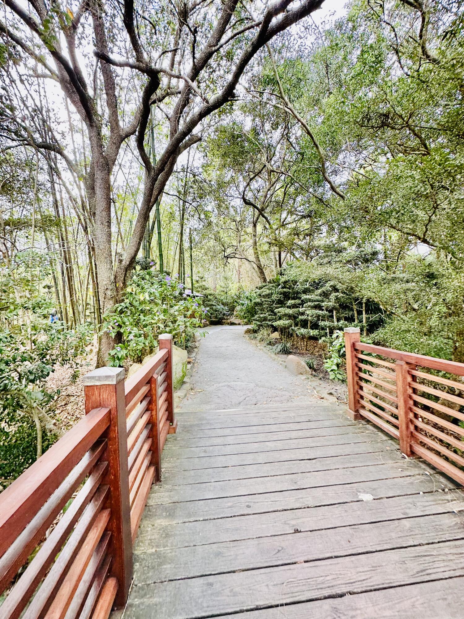 17204 Hampton Boulevard Boca Raton, FL 33496 - Photo 138 of 175 Morikami Museum & Japanese Gardens