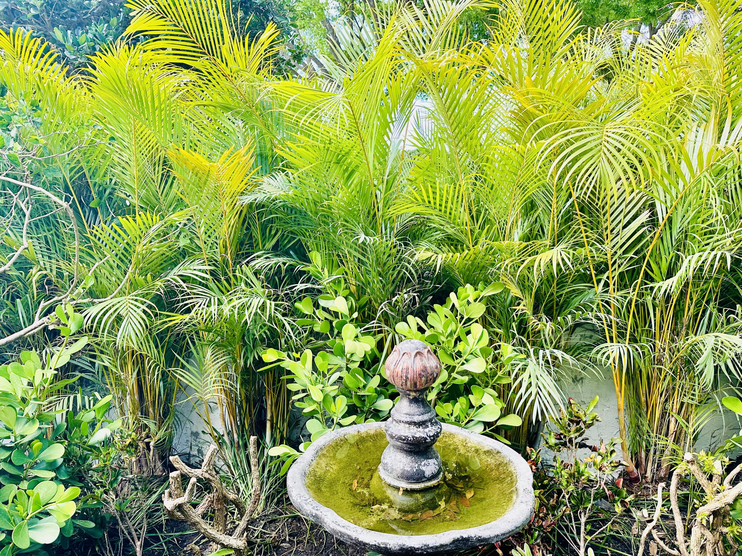 17204 Hampton Boulevard Boca Raton, FL 33496 - Photo 41 of 175 Outdoor Paradise Landscaping