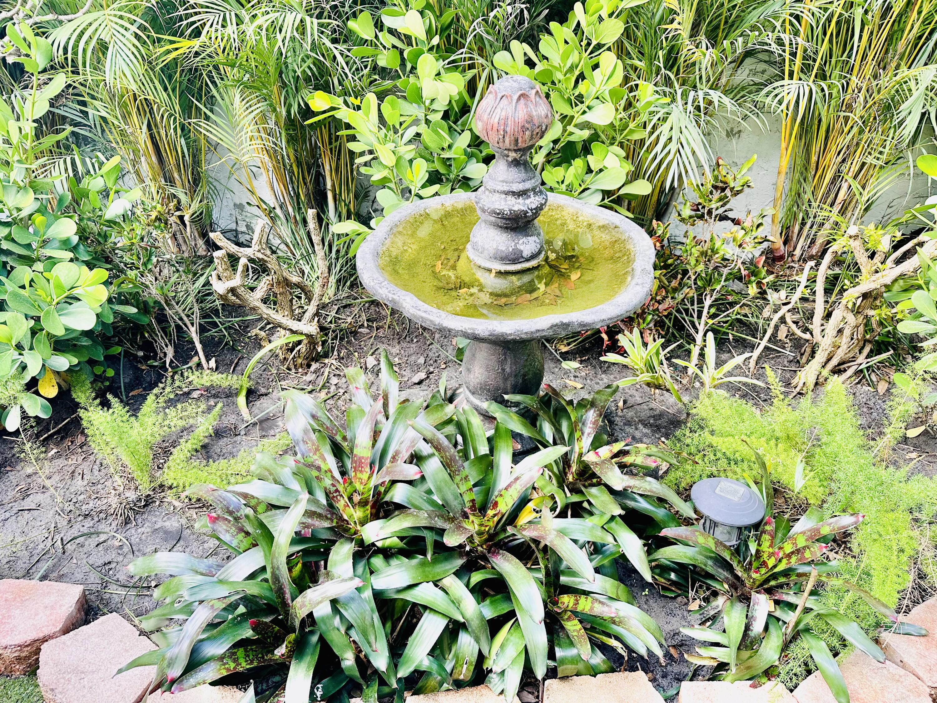 17204 Hampton Boulevard Boca Raton, FL 33496 - Photo 42 of 175 Bird Bath