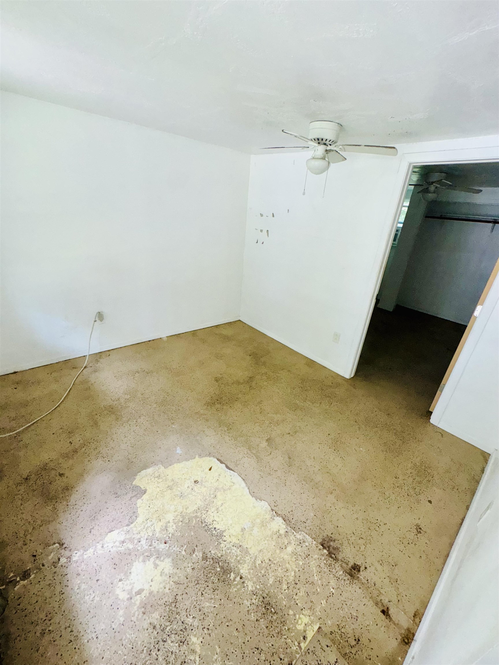 1008 West Ave B Silsbee, TX 77656 - Photo 8 of 10