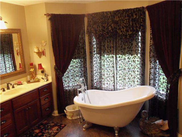 159 Lock 7 Lane Carthage, TN 37030 - Photo 6 of 20 Master bath