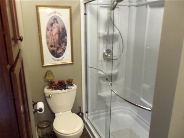 159 Lock 7 Lane Carthage, TN 37030 - Photo 7 of 20 shower in master bath