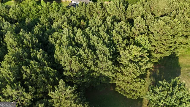 a view of a plants in middle of the house