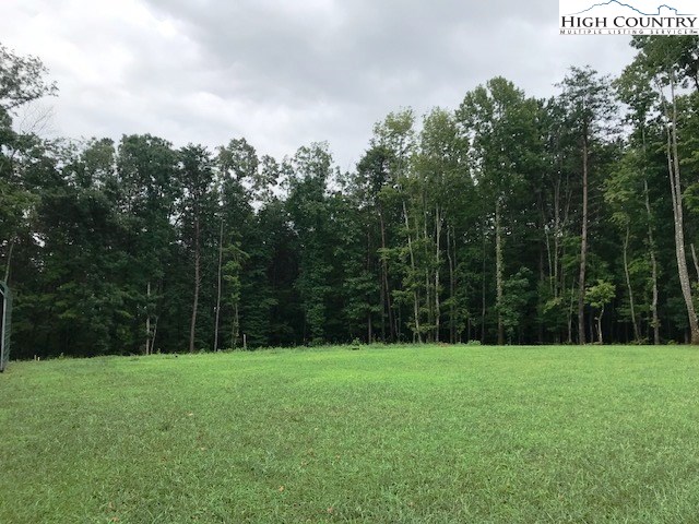 Swaringen Road Traphill, NC 28685 - Photo 1 of 5 Gallery Image 1