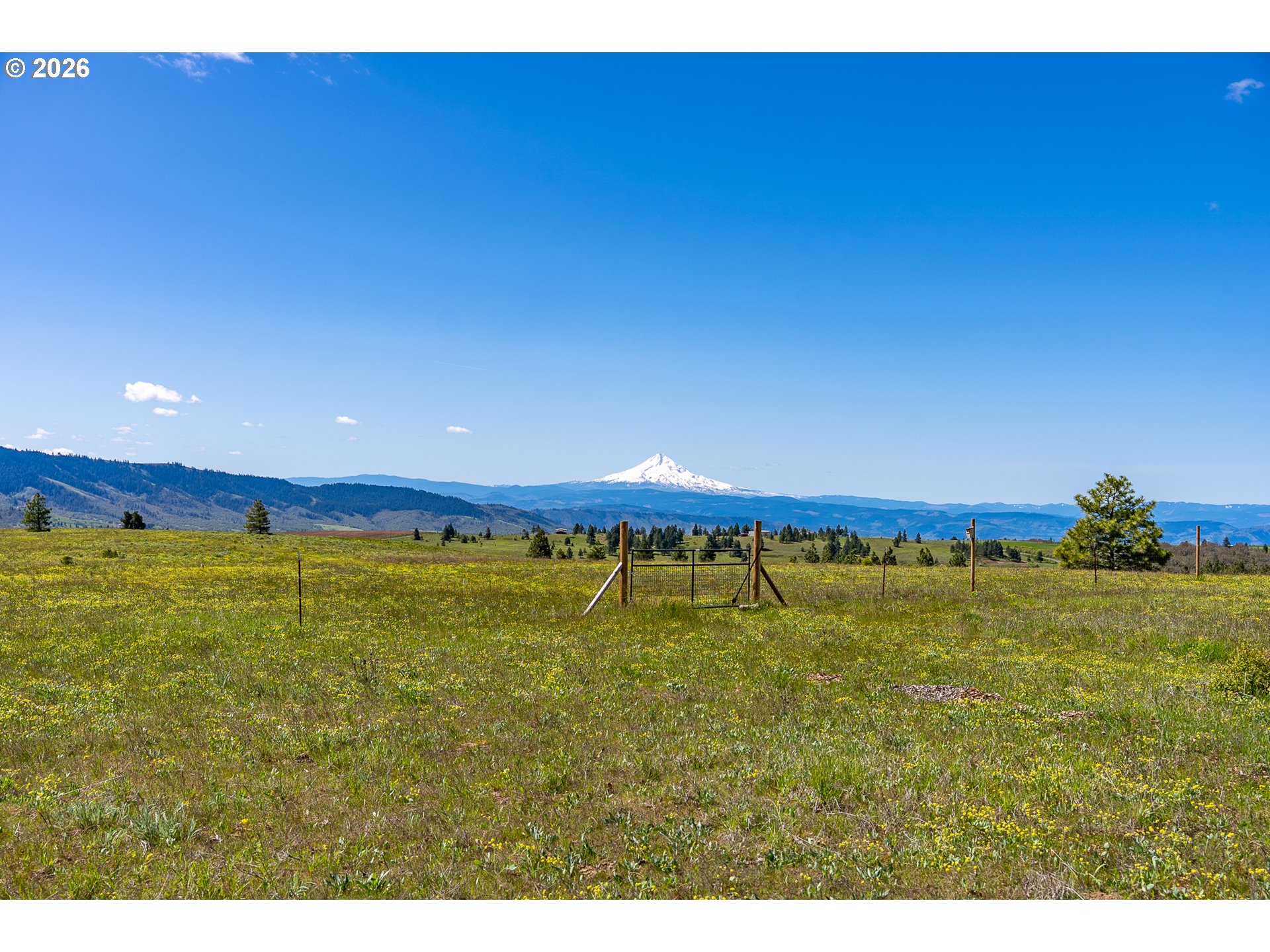 Morris Road Lyle, WA 98635 - Photo 12 of 45