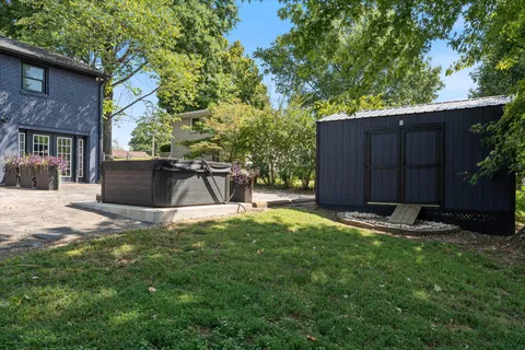 a view of a backyard with potted plants and large tree