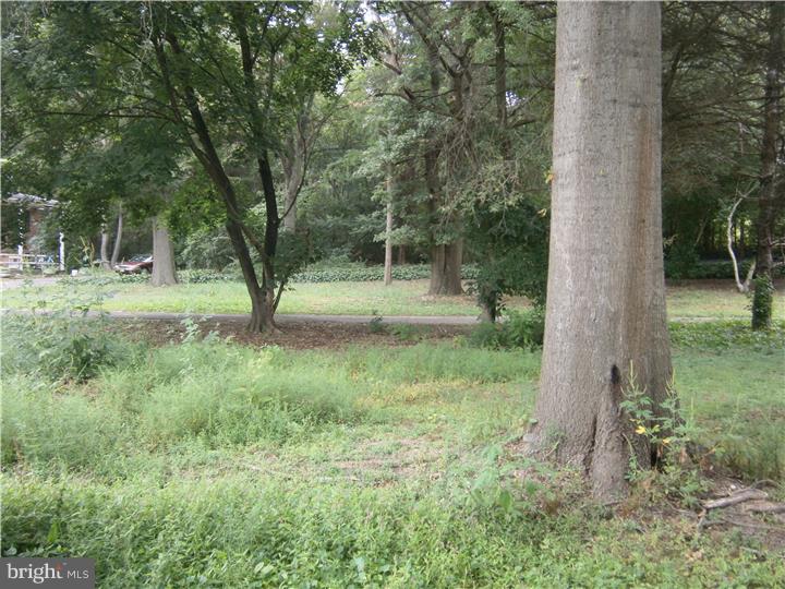 293-295 Fenwick Road Pilesgrove, NJ 08098 - Photo 3 of 6