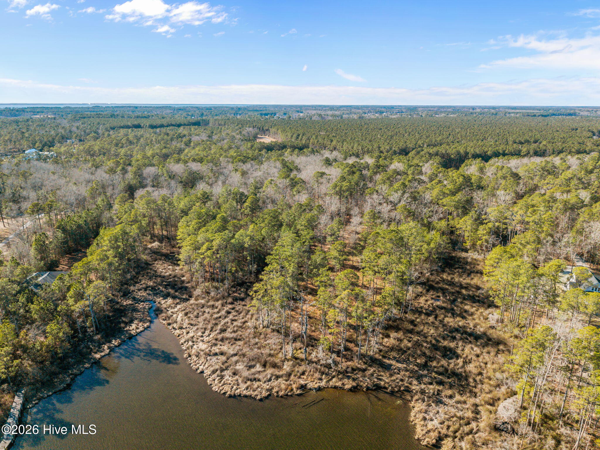 25 Sunset Point Road Belhaven, NC 27810 - Photo 10 of 17 8-web-or-mls-DJI_20260116140205_0009_D