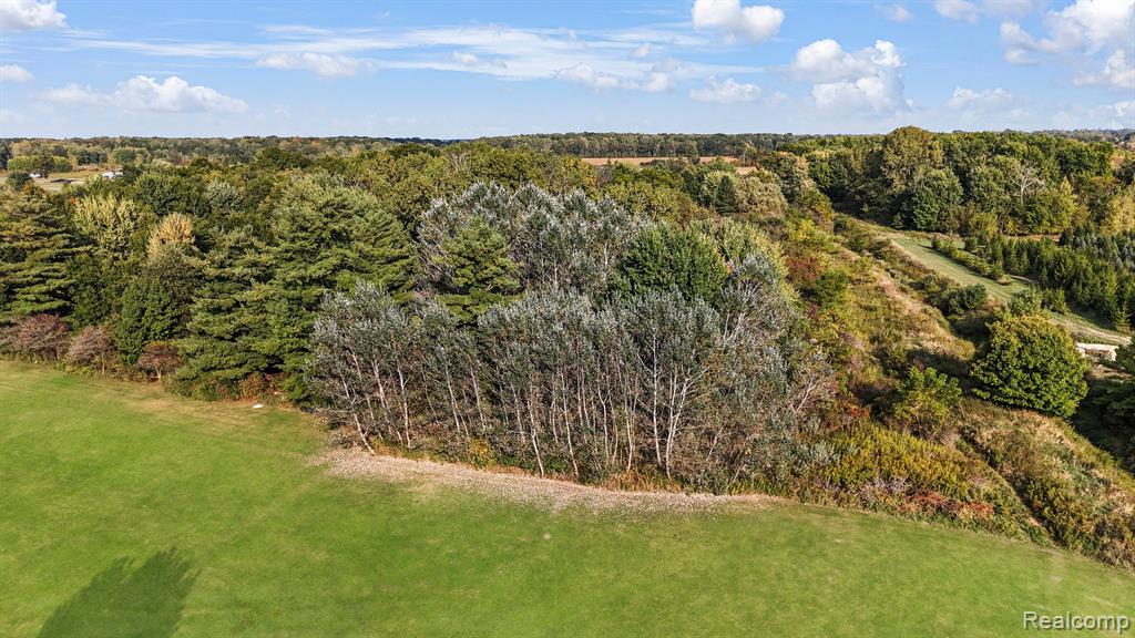 2050 Capac Road Allenton, MI 48002 - Photo 39 of 43