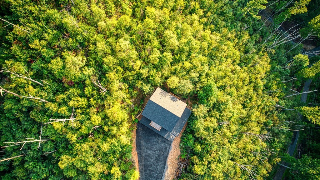 908 Crooked Ridge Road Gatlinburg, TN 37738 - Photo 51 of 60 Gallery Image 51