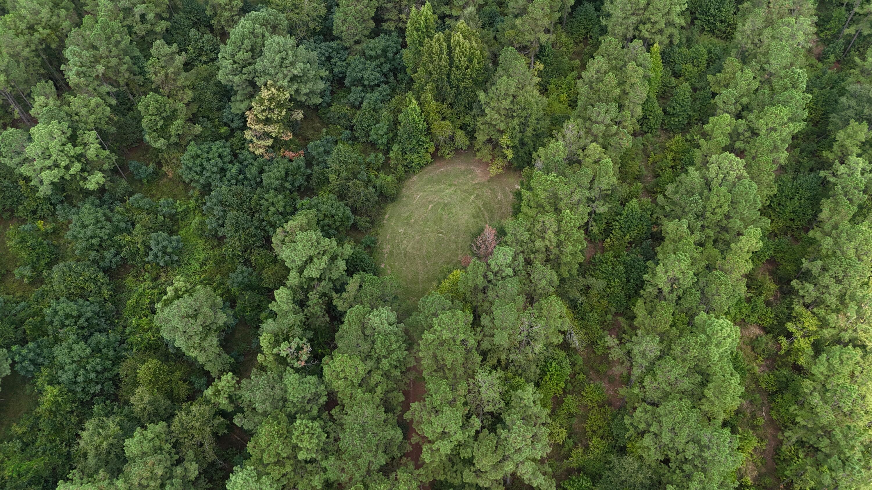 286 Shrike Road St. Matthews, SC 29135 - Photo 16 of 19 DJI_20260901125801_0347_D