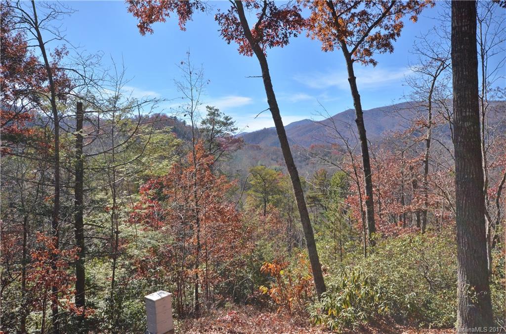 40 Rhododendron Ridge Canton, NC 28716 - Photo 22 of 24