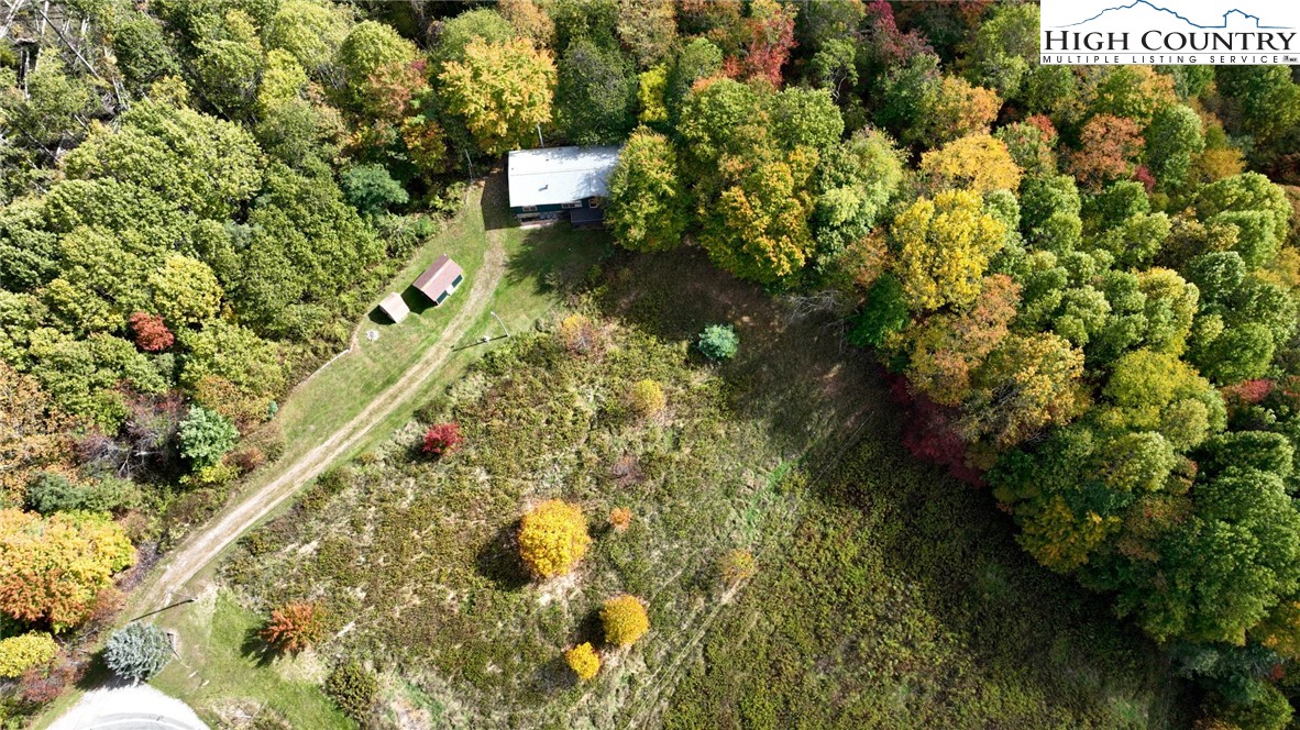 390 Flat Springs Road Elk Park, NC 28622 - Photo 36 of 46 Gallery Image 36