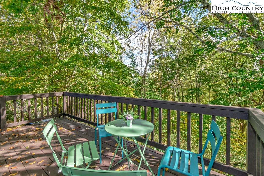 390 Flat Springs Road Elk Park, NC 28622 - Photo 6 of 46 Gallery Image 6