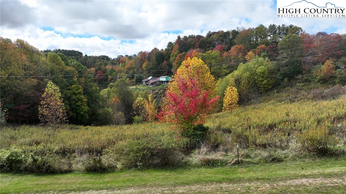 390 Flat Springs Road Elk Park, NC 28622 - Photo 7 of 46 Gallery Image 7