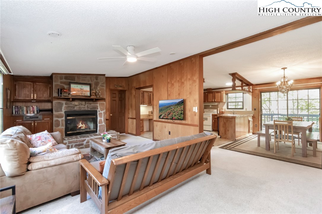 390 Flat Springs Road Elk Park, NC 28622 - Photo 8 of 46 Gallery Image 8