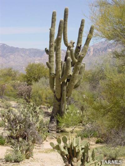 0 West Oasis Road Tucson, AZ 85742 - Photo 2 of 9