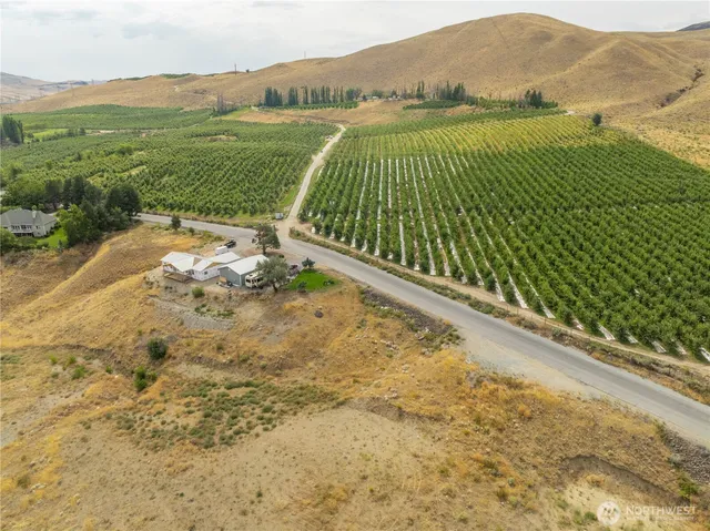 a view of a back yard