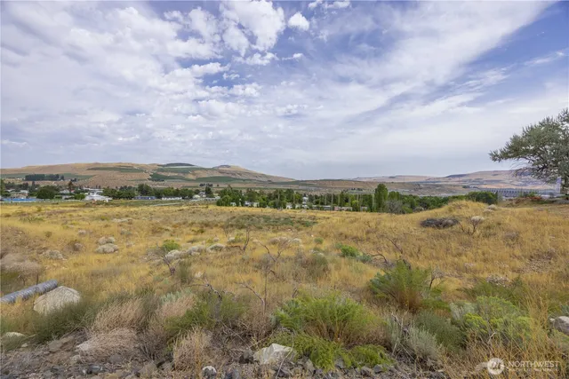 a view of an aerial view of residential houses with outdoor space and trees