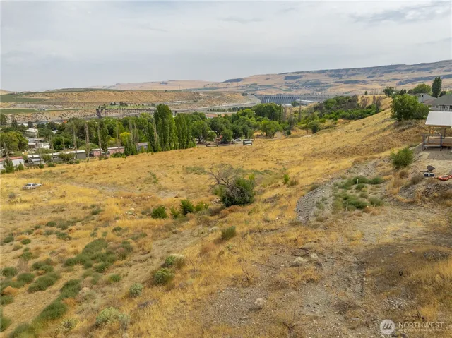 a view of a yard with an ocean