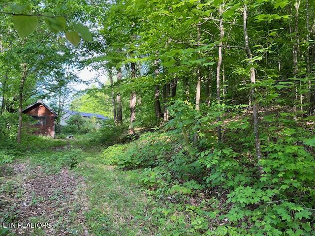 South Rogers South Road, Unit 2R2 Seymour, TN 37865 - Photo 1 of 11 image 1
