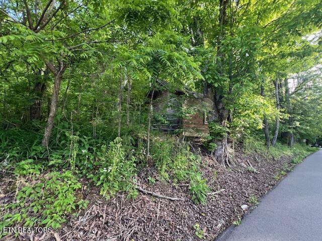South Rogers South Road, Unit 2R2 Seymour, TN 37865 - Photo 4 of 11 image 4