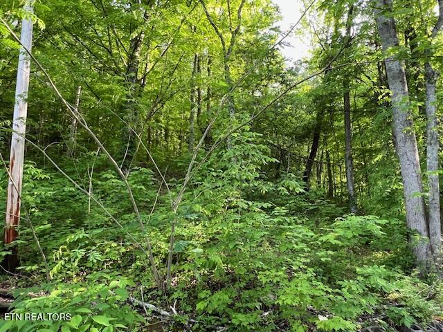 South Rogers South Road, Unit 2R2 Seymour, TN 37865 - Photo 5 of 11 image 5