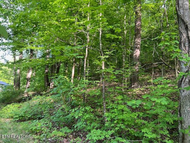 South Rogers South Road, Unit 2R2 Seymour, TN 37865 - Photo 6 of 11 image 6