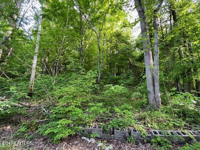 South Rogers South Road, Unit 2R2 Seymour, TN 37865 - Photo 7 of 11 image 7