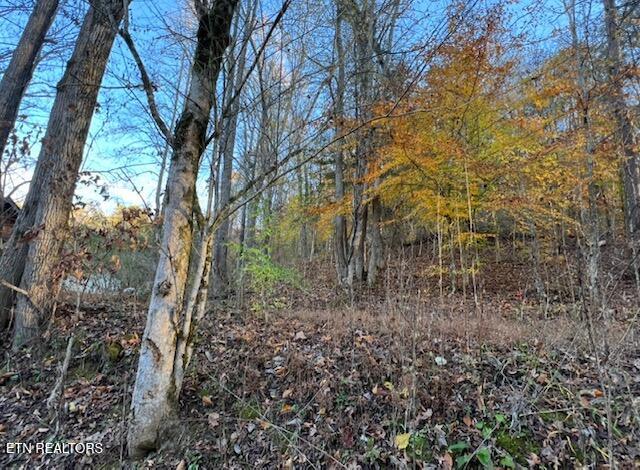 South Rogers South Road, Unit 2R2 Seymour, TN 37865 - Photo 10 of 11 image 9