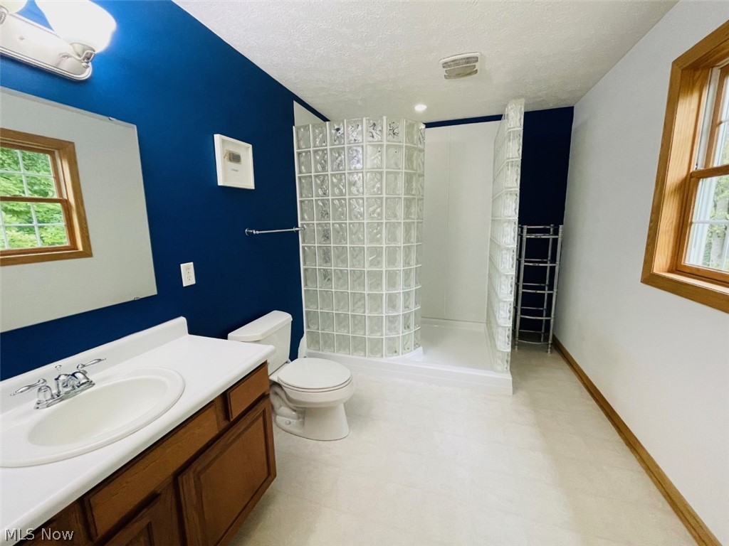 3209 Carpenter Run Road Waverly, WV 26184 - Photo 21 of 29 Glass block walk in shower