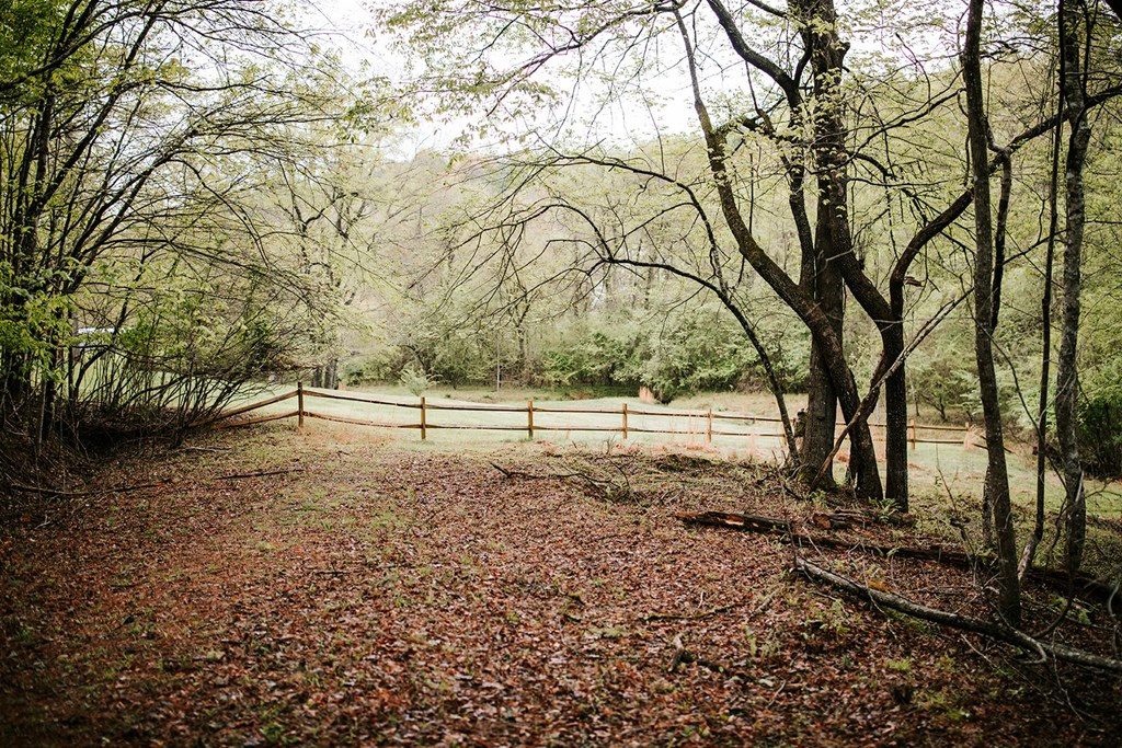 126 Bee Tree Lane Murphy, NC 28906 - Photo 34 of 71