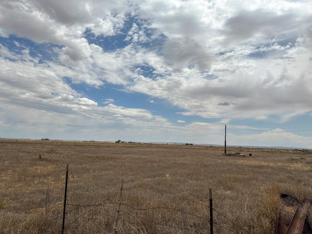 Ice Plant Road McIntosh, NM 87032 - Photo 6 of 24 Gallery Image 6
