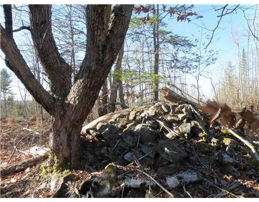 0 Robb Hill Road Alexander, ME 04694 - Photo 11 of 16 Land/Lot. Old stone pile from what...