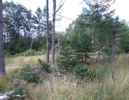 Land/Lot. Land was once an old homstead