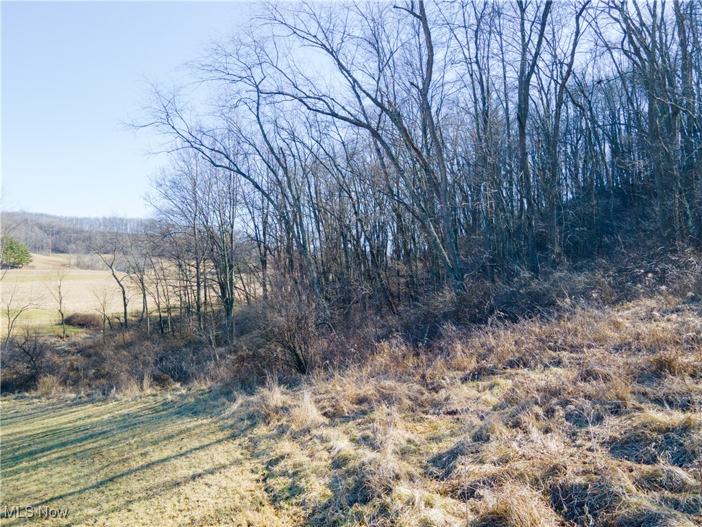 Bill Johns Road Southwest Newcomerstown, OH 43832 - Photo 14 of 19 Gallery Image 14