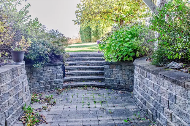 a view of a pathway with plants