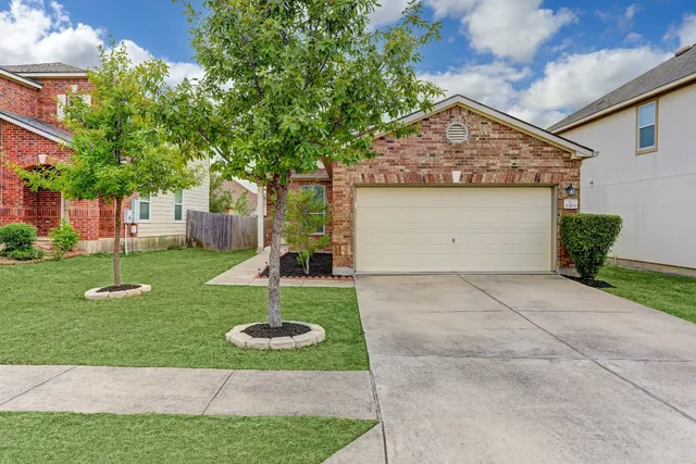 a backyard of a house with plants and large tree