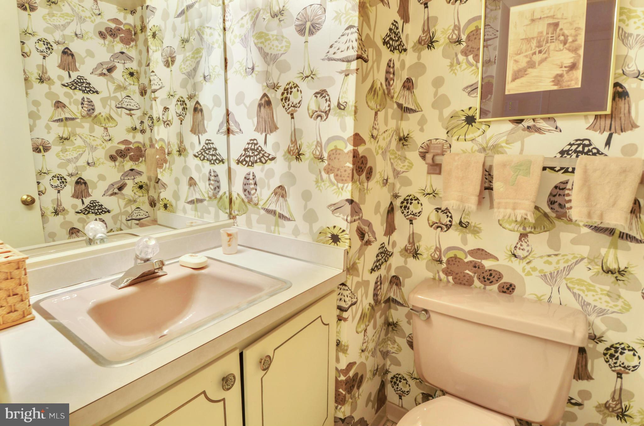 22 Parkside Road Silver Spring, MD 20910 - Photo 25 of 28 powder room