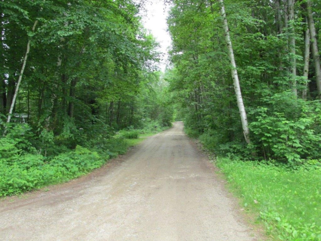 15607 Timbercrest Road Mecosta, MI 49332 - Photo 7 of 8 IMG_6586