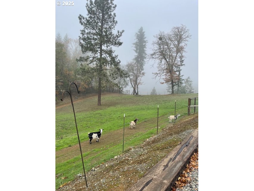 375 Jordan Creek Road Riddle, OR 97469 - Photo 40 of 42